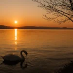 Aşk Şiiri Tahlili – Ercüment Uçarı ve Şiirinde Evrensel Aşk