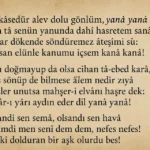 Rabia Hatun Şiirleri Tahlili – İsmail Hami Danişmend İncelemesi