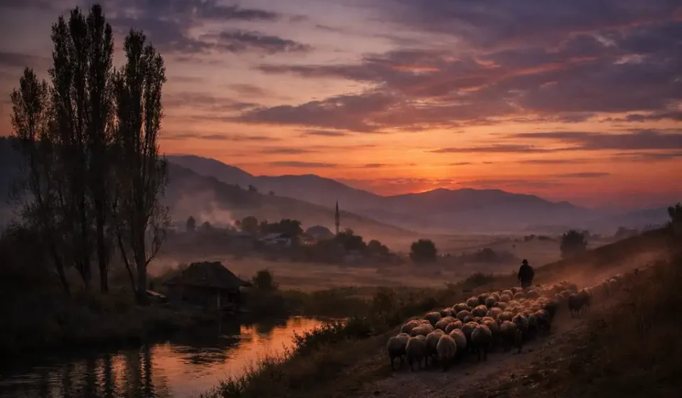 Anadolu Akşamı Şiiri Tahlili – Zihniyet, Tema, Dil ve Ahenk Anadolu kırsalında akşam saatlerinde sürülerin bayırdan inişi ve gün batımı manzarası